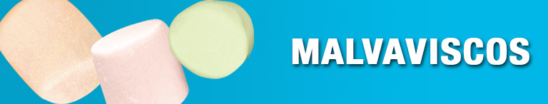 Malvaviscos Malvaviscos